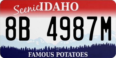 ID license plate 8B4987M