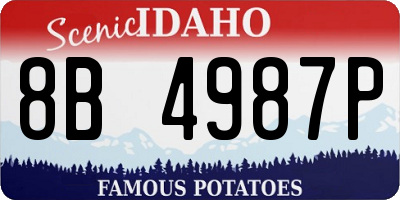 ID license plate 8B4987P