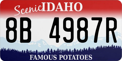 ID license plate 8B4987R