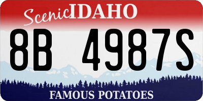 ID license plate 8B4987S