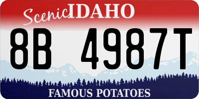ID license plate 8B4987T