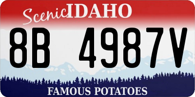 ID license plate 8B4987V