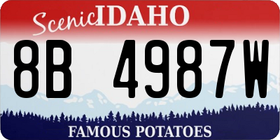 ID license plate 8B4987W