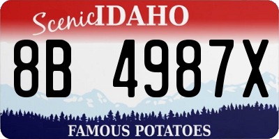 ID license plate 8B4987X