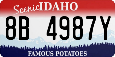 ID license plate 8B4987Y