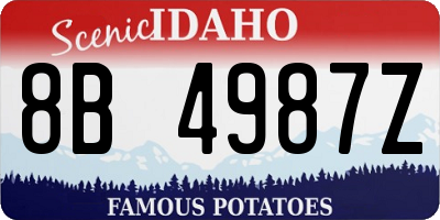 ID license plate 8B4987Z