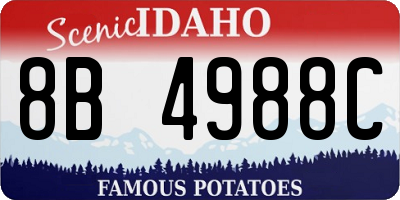 ID license plate 8B4988C