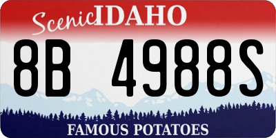 ID license plate 8B4988S