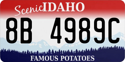 ID license plate 8B4989C