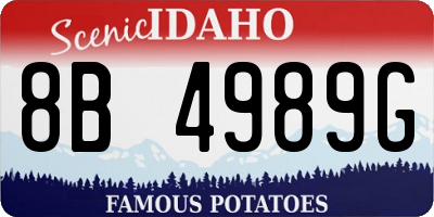 ID license plate 8B4989G