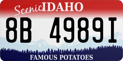 ID license plate 8B4989I