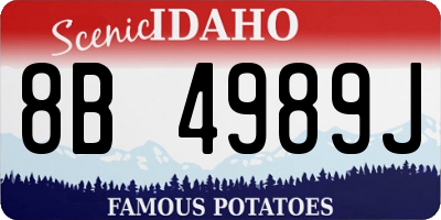 ID license plate 8B4989J