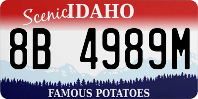 ID license plate 8B4989M