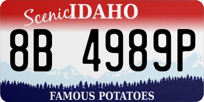 ID license plate 8B4989P