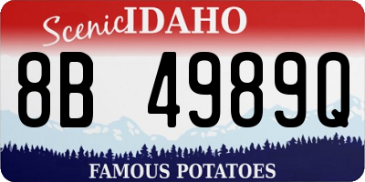ID license plate 8B4989Q