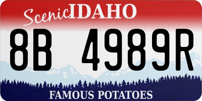 ID license plate 8B4989R