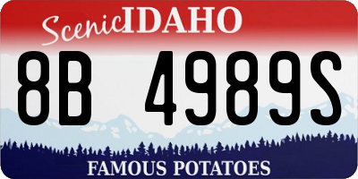 ID license plate 8B4989S