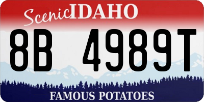 ID license plate 8B4989T
