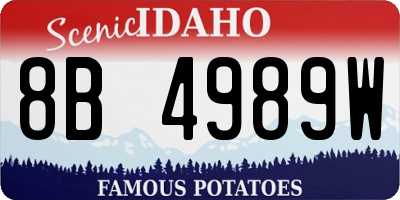 ID license plate 8B4989W
