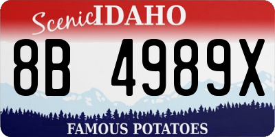 ID license plate 8B4989X