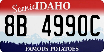 ID license plate 8B4990C