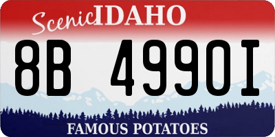 ID license plate 8B4990I