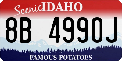 ID license plate 8B4990J