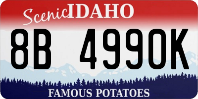 ID license plate 8B4990K
