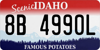 ID license plate 8B4990L