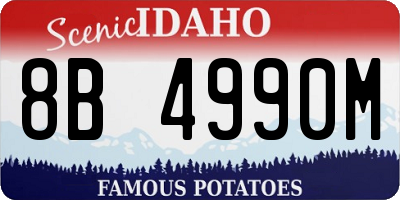ID license plate 8B4990M