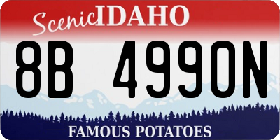 ID license plate 8B4990N