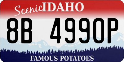 ID license plate 8B4990P