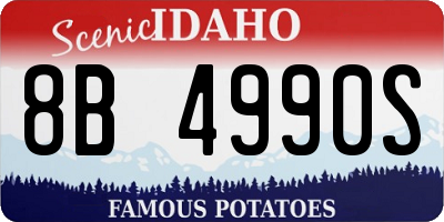 ID license plate 8B4990S