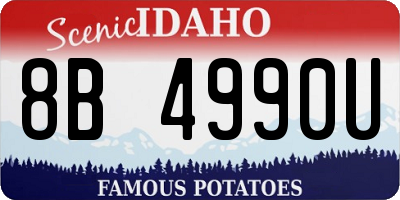 ID license plate 8B4990U