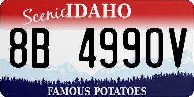 ID license plate 8B4990V