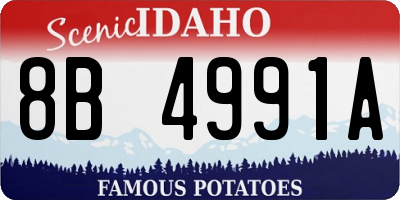 ID license plate 8B4991A