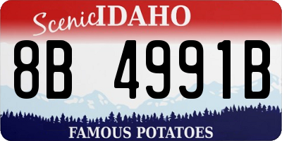 ID license plate 8B4991B