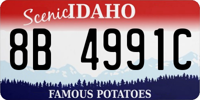 ID license plate 8B4991C