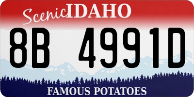 ID license plate 8B4991D