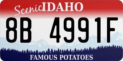 ID license plate 8B4991F