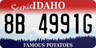 ID license plate 8B4991G