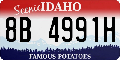 ID license plate 8B4991H