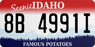ID license plate 8B4991I
