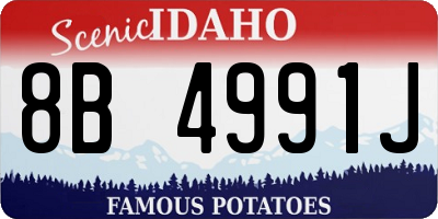 ID license plate 8B4991J