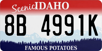 ID license plate 8B4991K