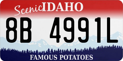 ID license plate 8B4991L