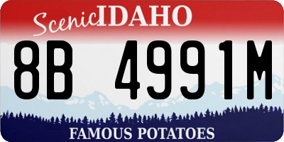 ID license plate 8B4991M