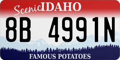 ID license plate 8B4991N