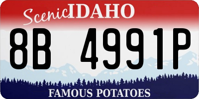 ID license plate 8B4991P