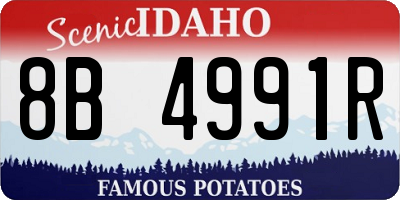 ID license plate 8B4991R